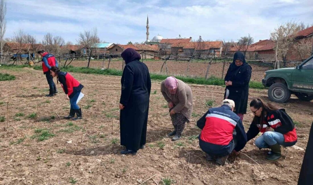 Kütahya İl Tarım ve Orman Müdürlüğü ile Aslanapa İlçe Tarım