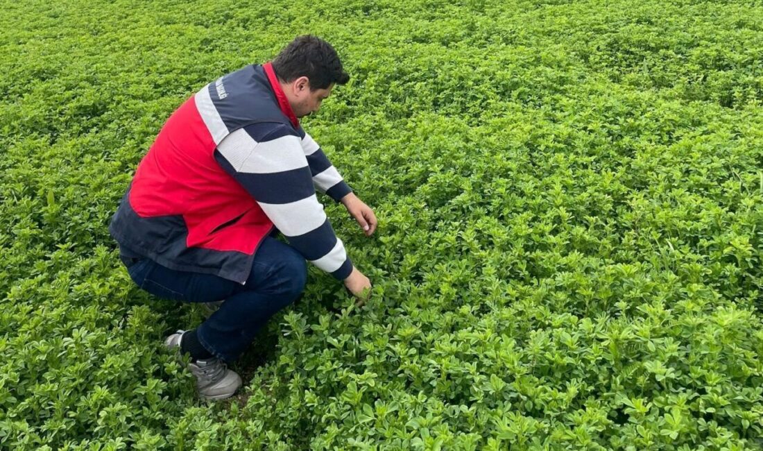 Emet İlçe Tarım ve Orman Müdürlüğü ekipleri tarafından yürütülen çalışmalarda,