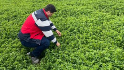 Emet İlçe Tarım ve Orman Müdürlüğü ekipleri tarafından yürütülen çalışmalarda,