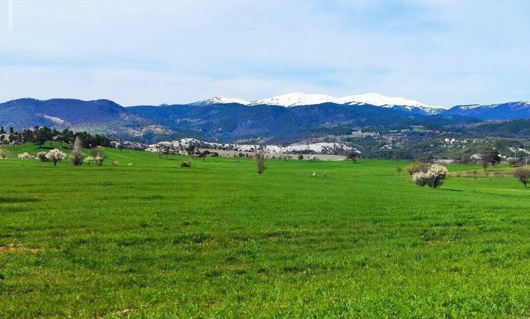 Kütahya’nın Gediz ilçesinde baharın gelişiyle birlikte doğa adeta uyanışa geçti.