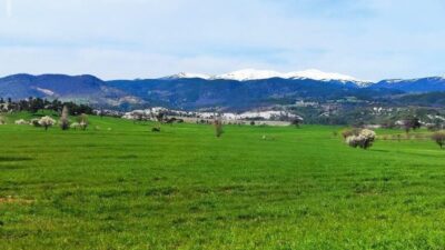 Kütahya’nın Gediz ilçesinde baharın gelişiyle birlikte doğa adeta uyanışa geçti.