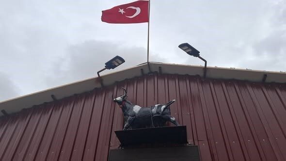 Kütahya’nın Hisarcık ilçesinde bir ahırın çatısındaki boğa heykelini gerçek sanan