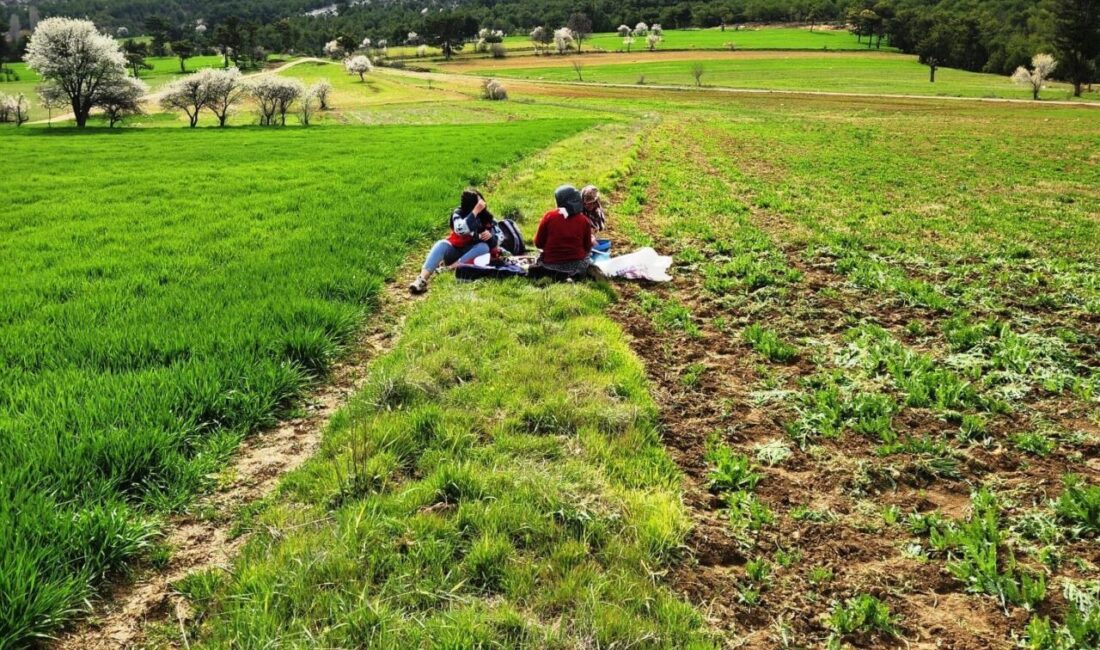 Kütahya’nın Hisarcık ilçesinde İlçe Tarım ve Orman Müdürlüğü teknik personeli