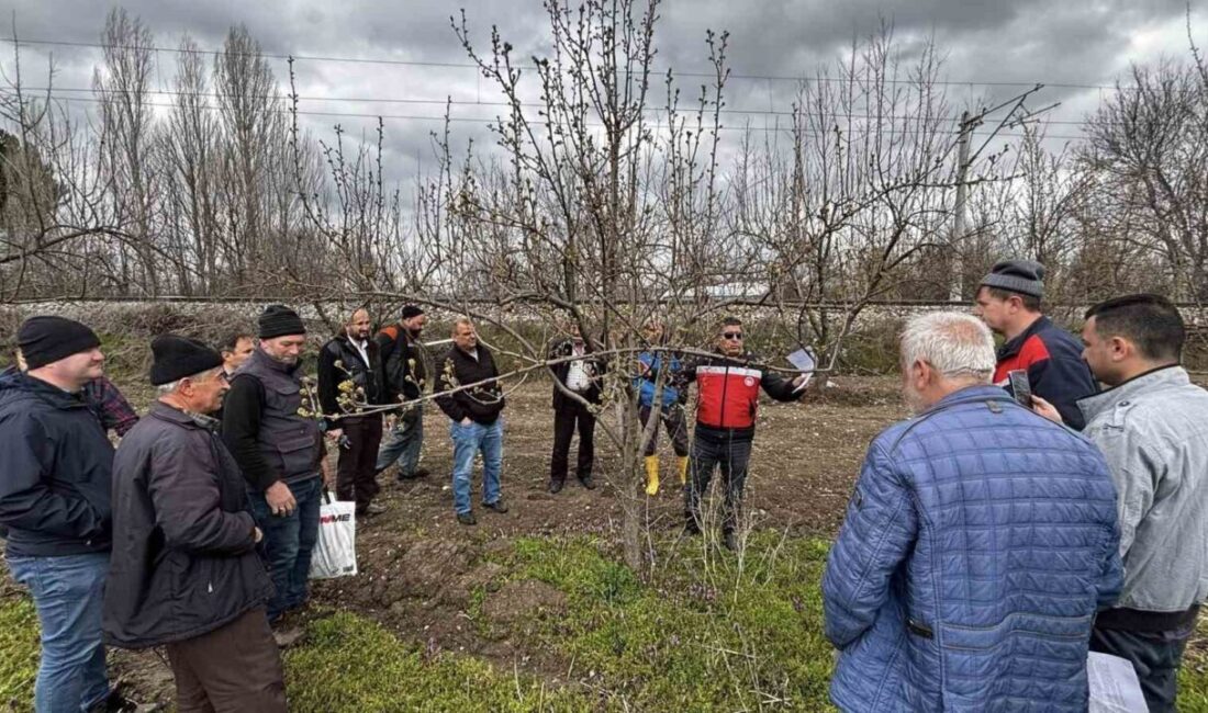 Kütahya İl Tarım ve Orman Müdürlüğü tarafından meyve üreticilerine yönelik