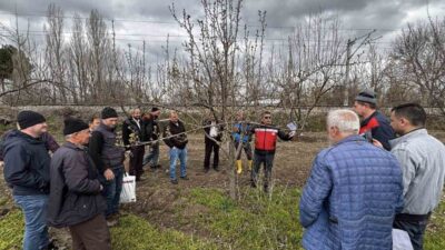 Kütahya İl Tarım ve Orman Müdürlüğü tarafından meyve üreticilerine yönelik
