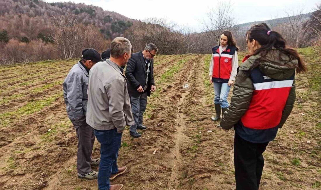 Kütahya’da tarımsal üretimin geliştirilmesine yönelik çalışmalar kapsamında, yüzde 75 hibeli