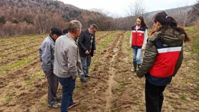 Kütahya’da tarımsal üretimin geliştirilmesine yönelik çalışmalar kapsamında, yüzde 75 hibeli