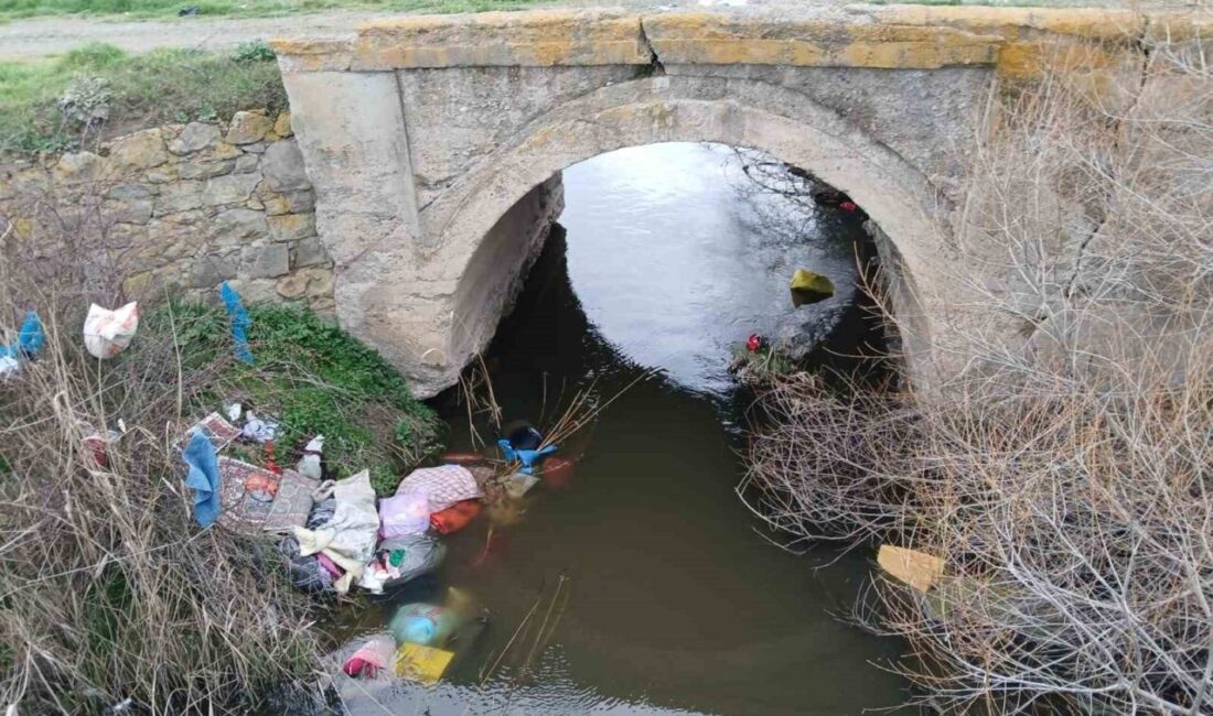 Kütahya’nın Tavşanlı ilçesinde doğa harikası alanlara bilinçsizce bırakılan çöpler, çevre
