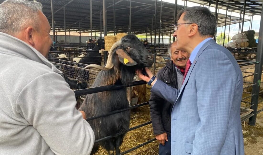Belediye Başkanı Eyüp Kahveci, Kurban Bayramı öncesinde Kütahya Canlı Hayvan