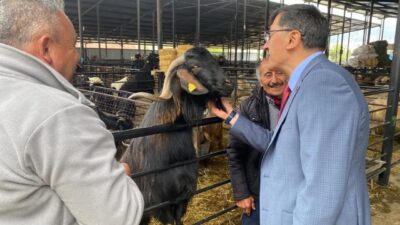 Belediye Başkanı Eyüp Kahveci, Kurban Bayramı öncesinde Kütahya Canlı Hayvan