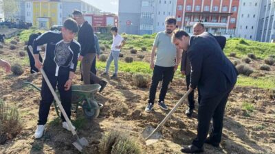 Kütahya’nın Çavdarhisar ilçesinde Mesleki ve Teknik Tarım Lisesi öğrencileri tarafından