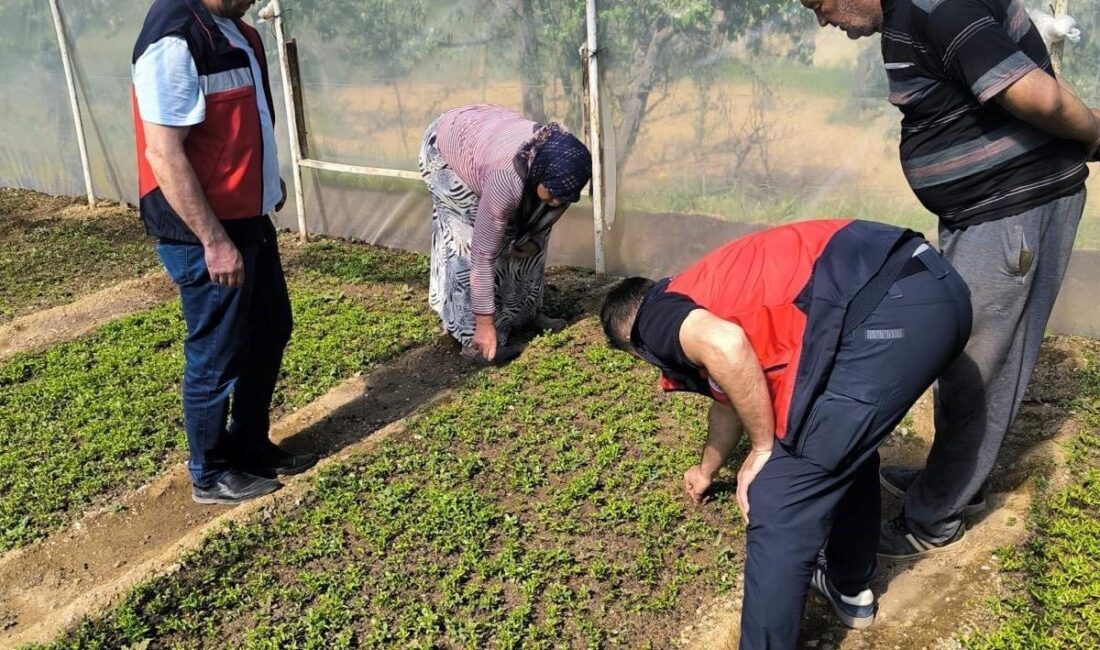 Kütahya’nın Emet ilçesinde seracılık faaliyetlerinin geliştirilmesi amacıyla işletmelere yönelik teknik