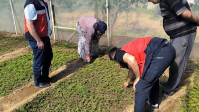 Kütahya’nın Emet ilçesinde seracılık faaliyetlerinin geliştirilmesi amacıyla işletmelere yönelik teknik