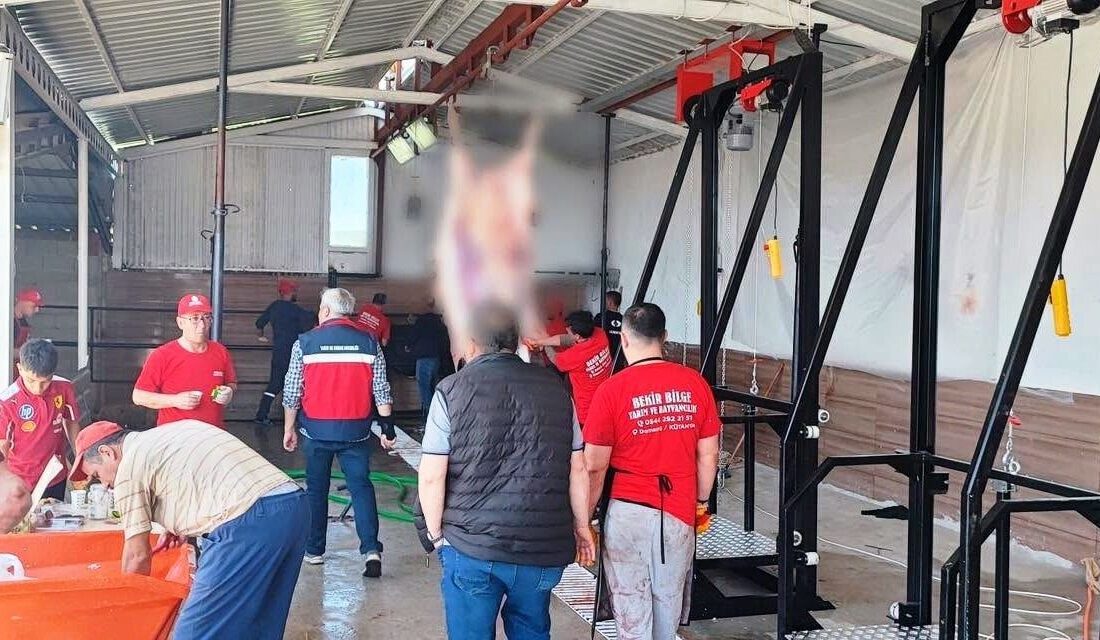 Kütahya’da Kurban Bayramı süresince il merkezi ve ilçelerde geçici kurban