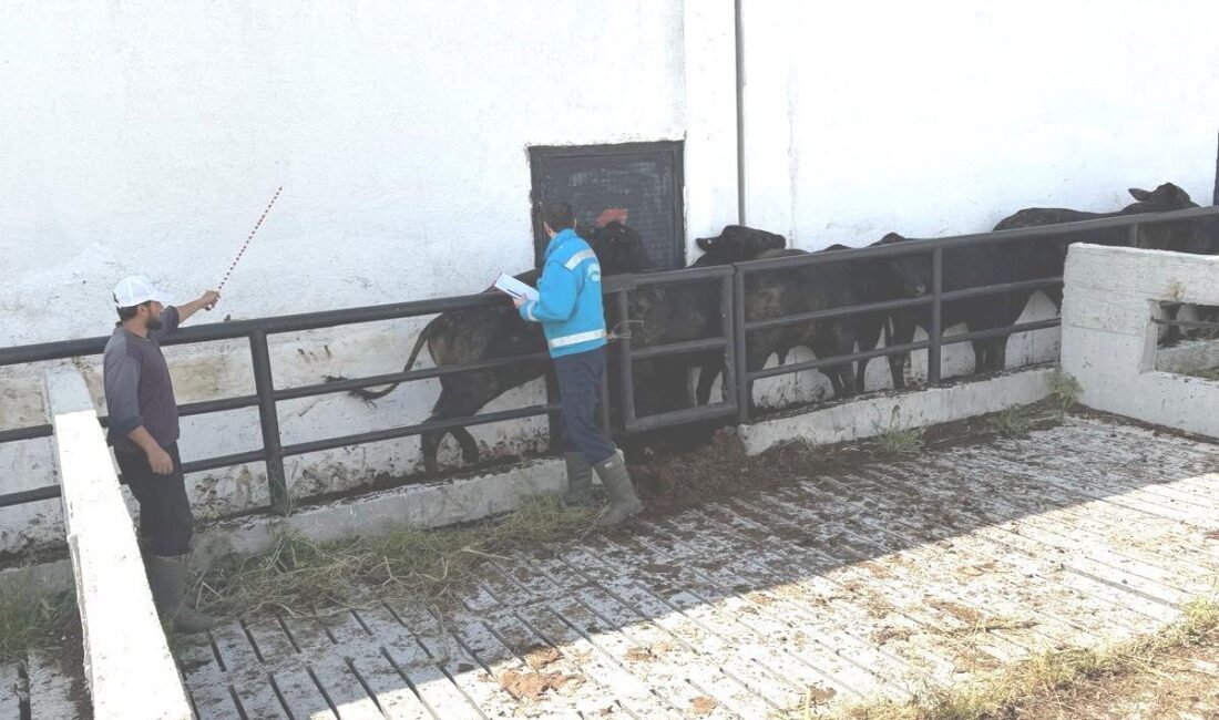 Kütahya’da İl Tarım ve Orman Müdürlüğü personeli tarafından Brezilya’dan getirilen