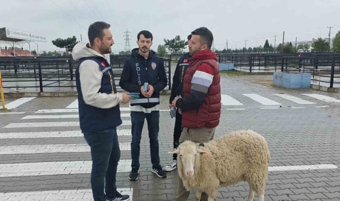 Kütahya’da polis ekipleri canlı hayvan pazarında sahte para ve dolandırıcılık