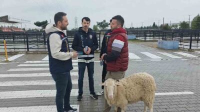 Kütahya’da polis ekipleri canlı hayvan pazarında sahte para ve dolandırıcılık