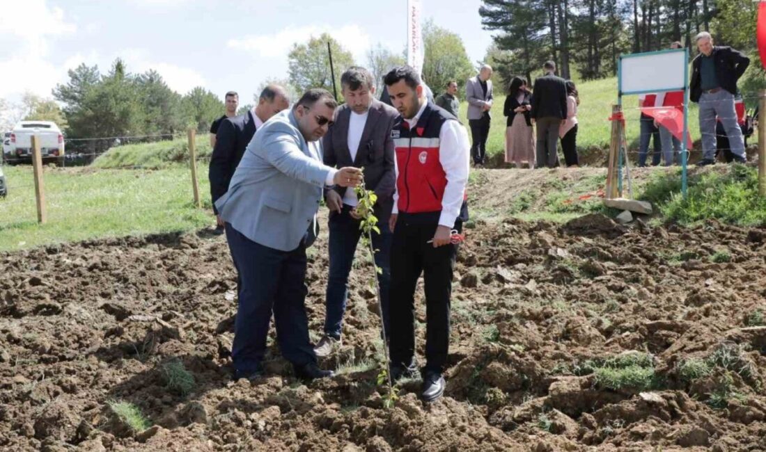 Kütahya’nın Pazarlar ilçesinde hayata geçirilen “Tescilli Pazarlar Kirazı Uygulama Alanı