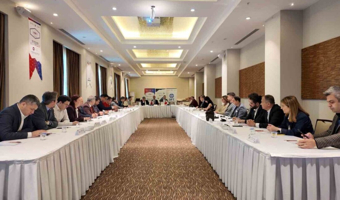 Zafer Kalkınma Ajansı koordinasyonunda yürütülen Dış Fonlar Takımı (DFT) projesinin