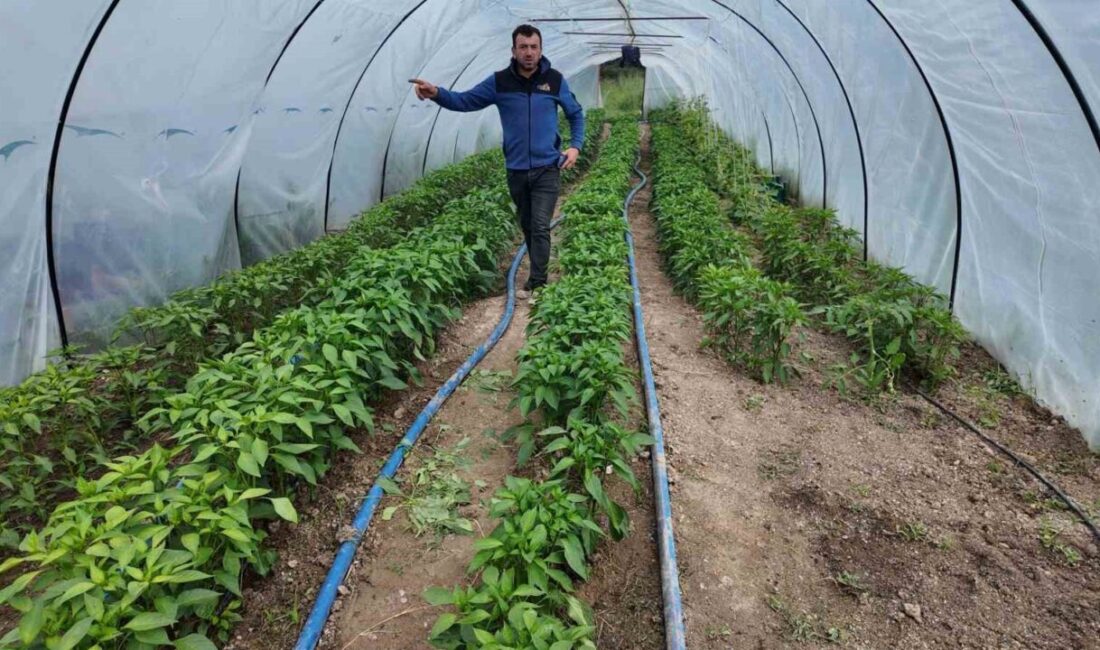 Kütahya’nın şifa merkezlerinden biri olan Gediz Ilıca Termal Tatil Köyü,