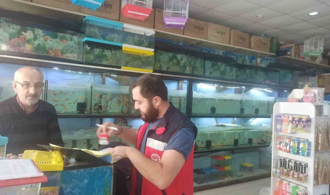 Kütahya İl Tarım ve Orman Müdürlüğü veteriner hekimleri tarafından il
