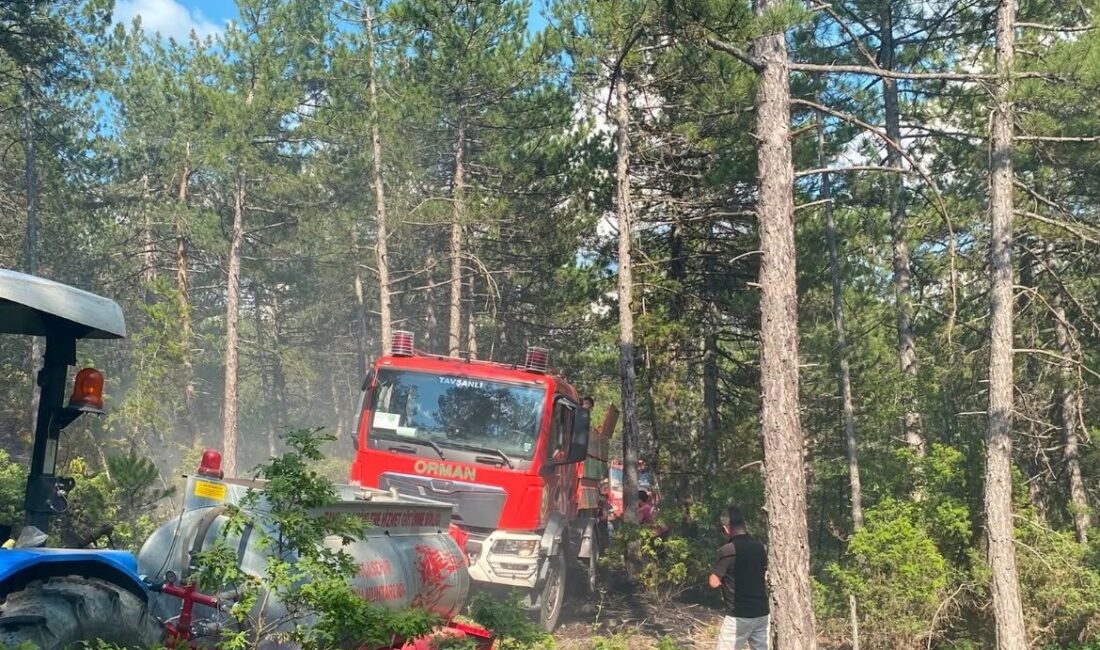 Kütahya’nın Tavşanlı ilçesinde yıldırım düşmesi sonucu çıkan orman yangını, ekiplerin
