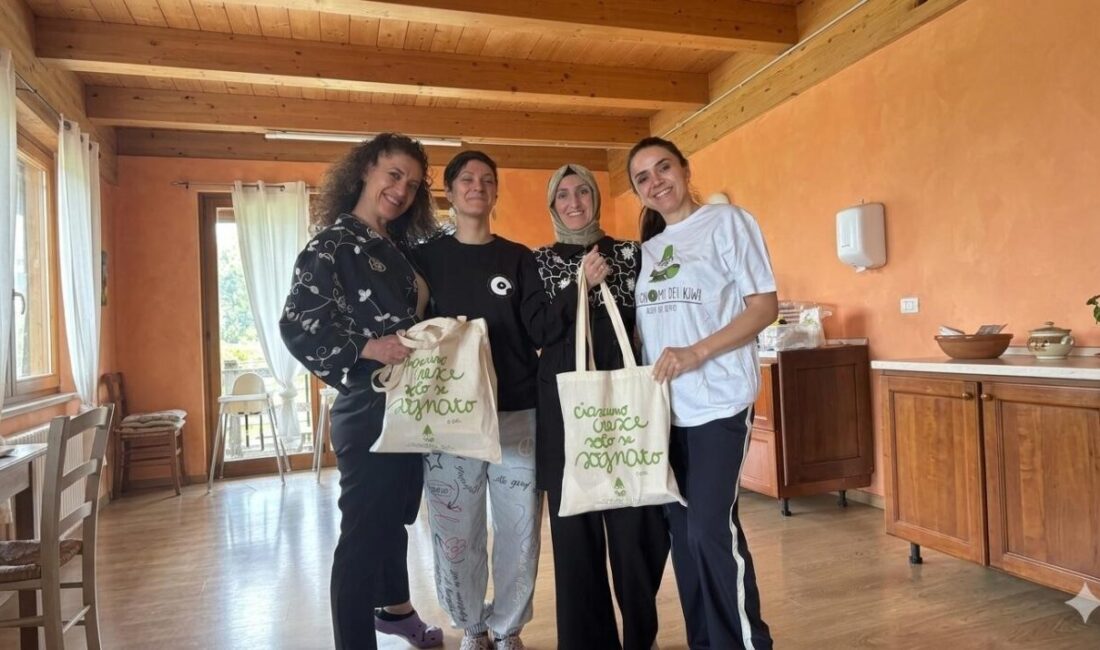 Kütahya’da Hande Gül Anaokulu ve Nesrin Güral Anaokulu, İl Millî