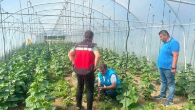 Kütahya’nın Tavşanlı ilçesinde, İlçe Tarım ve Orman Müdürlüğü teknik personelleri